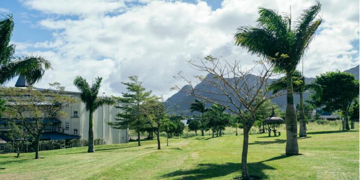 Accommodation Curtin Mauritius garden